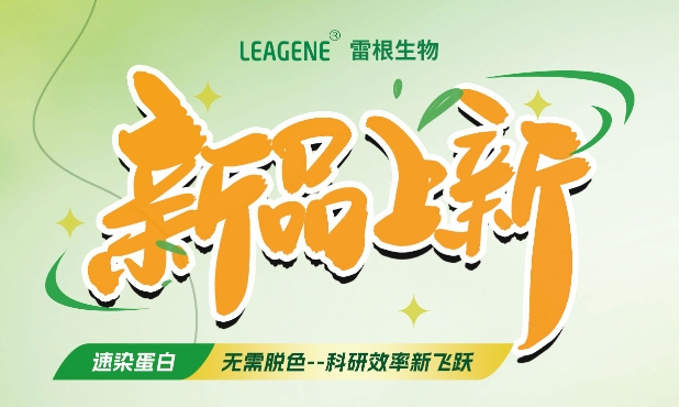最新力作【考馬斯亮藍(lán)快速染色液（免脫色版）】，正式加入我們的產(chǎn)品家族！